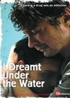 I Dreamt Under The Water (2008).jpg